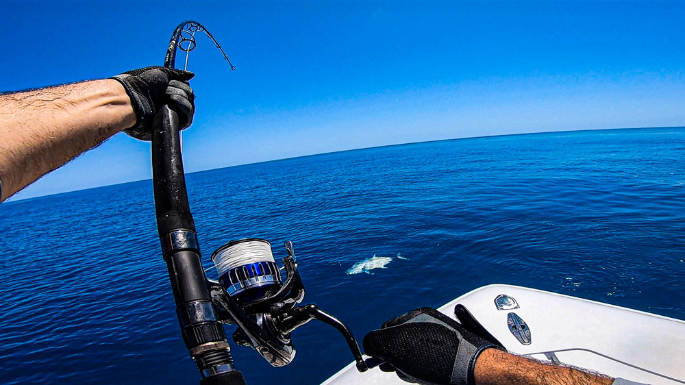 GT Fishing With Tasline